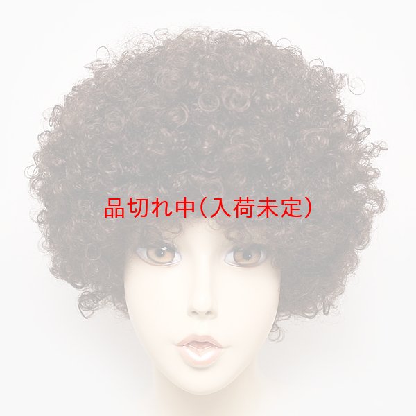 画像9: 大人用　かつら　アフロヘア (9)