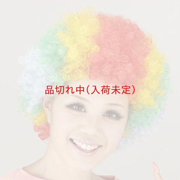 画像12: 大人用　かつら　アフロヘア (12)