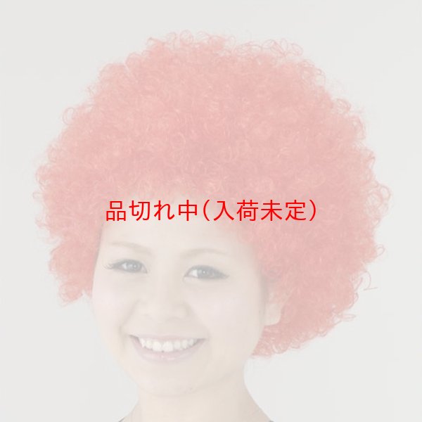 画像5: 大人用　かつら　アフロヘア (5)