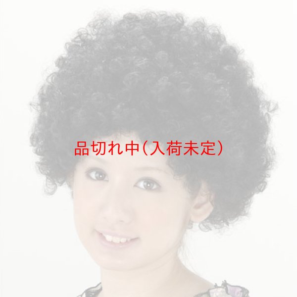 画像4: 大人用　かつら　アフロヘア (4)