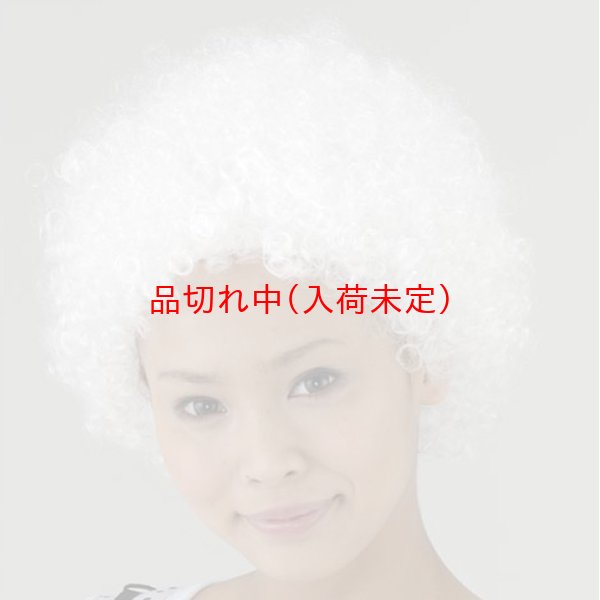 画像10: 大人用　かつら　アフロヘア (10)