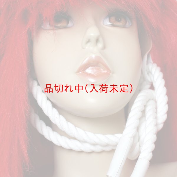 画像6: 大人用　かつら　獅子毛 (6)