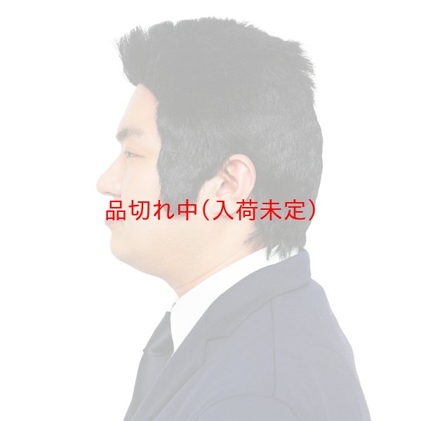 画像2: かつら　角刈り (2)