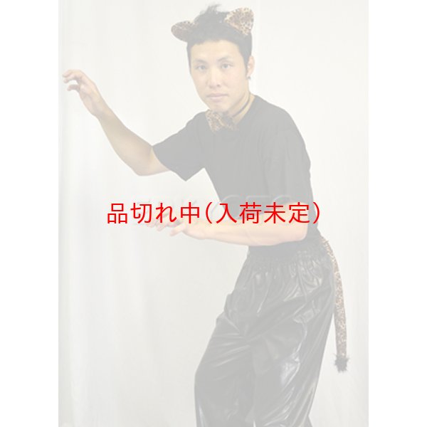 画像3: ヒョウのカチューシャ＆タイ＆しっぽ (3)