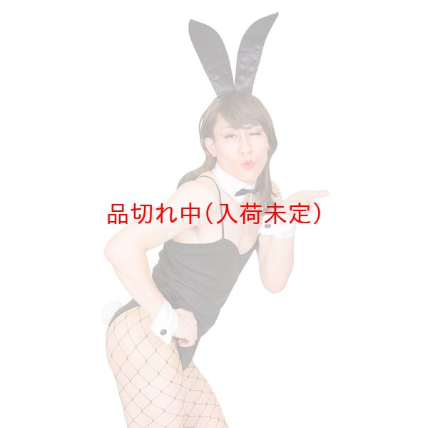 画像2: 大人用　女装コスチューム　バニーガール (2)