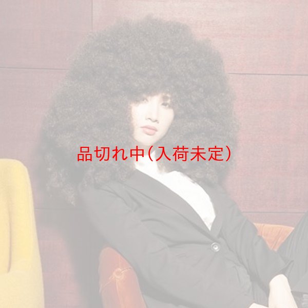 画像2: 大人用　かつら　アフロヘア　巨大 (2)