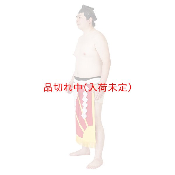 画像2: 大人用コスチューム 横綱 (2)