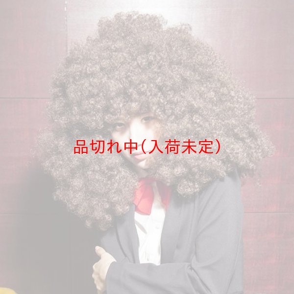 画像5: 大人用　かつら　アフロヘア　巨大 (5)
