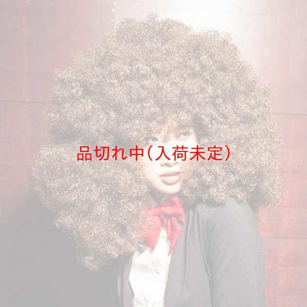 画像6: 大人用　かつら　アフロヘア　巨大 (6)