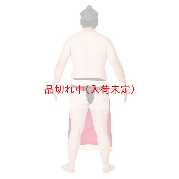 画像3: 大人用コスチューム 横綱 (3)