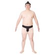 画像4: 大人用コスチューム　横綱 (4)
