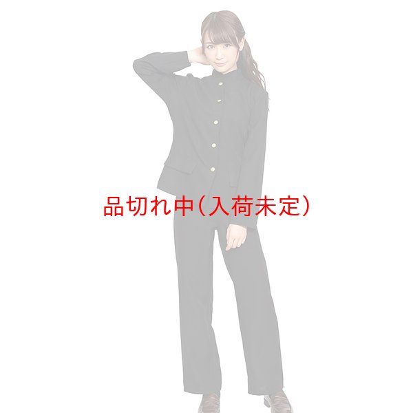 画像2: 大人用 コスプレ 学ラン (2)