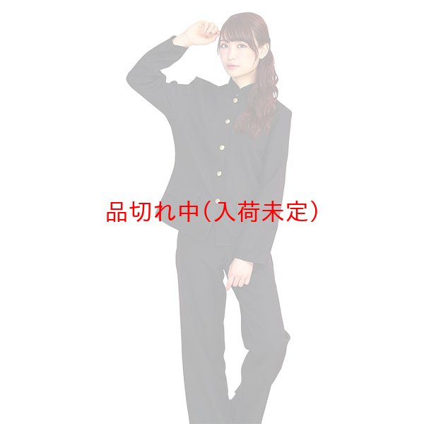 画像1: 大人用　コスプレ　学ラン (1)