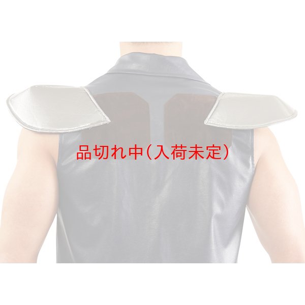 画像8: 営業日午前注文即日発送|大人用 コスチューム 北斗の拳 ケンシロウ || アニメ公式 (8)