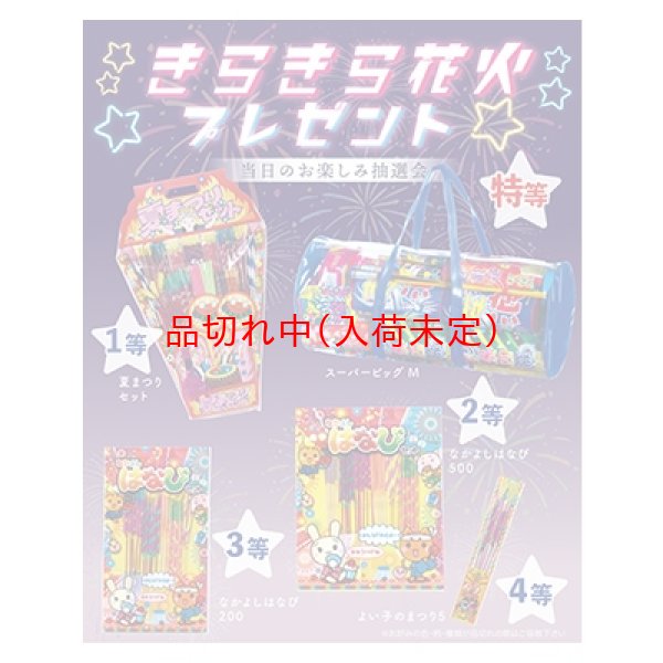 画像1: キラキラ夏玩具抽選会　100人用 (1)