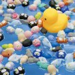 画像2: ぷかぷか水族館すくい縁日セット　100人用 (2)