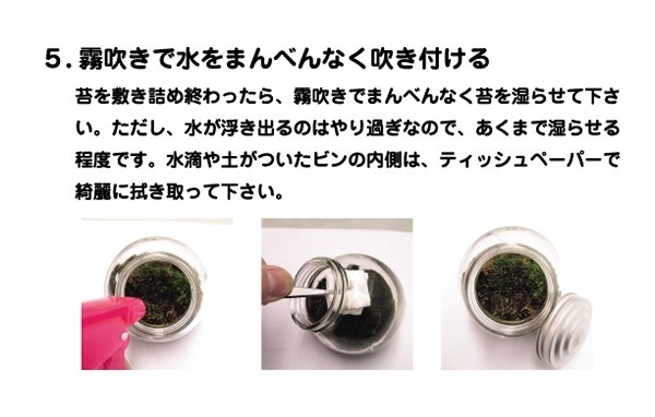 画像5: 工作イベントキット 手作り苔テラリウム 48人用 (5)