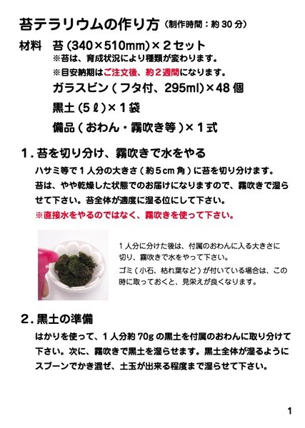 画像3: 工作イベントキット 手作り苔テラリウム 48人用 (3)