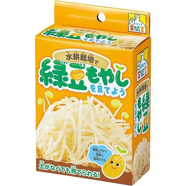 画像3: 実験工作キット　水耕栽培緑豆もやし (3)