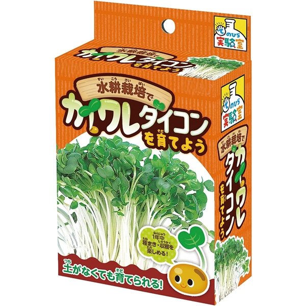 画像3: 実験工作キット 水耕栽培カイワレ大根 まとめ買い48セット (3)
