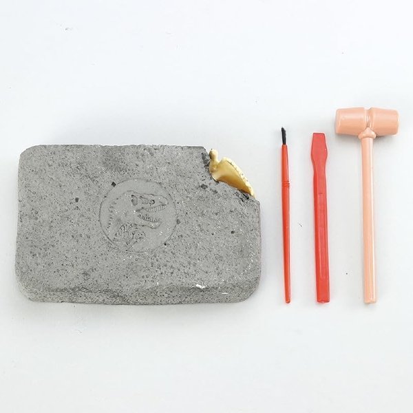 画像2: 実験工作キット 化石発掘 トリケラトプス まとめ買い30セット (2)