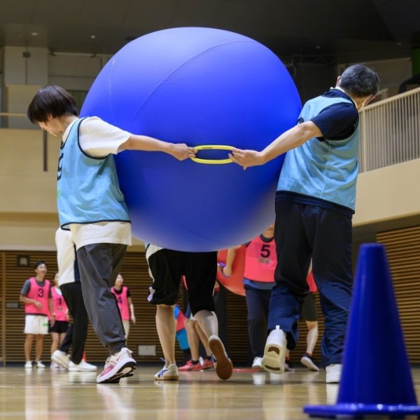 画像5: 大玉背面運びセット (5)