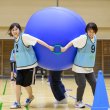 画像1: 大玉背面運びセット (1)