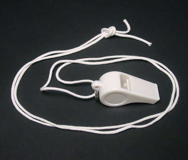 画像3: 営業日午前注文即日発送|後払いOK|笛 12ヶセット プラスチック (3)