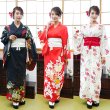 画像1: コスプレ　カジュアル着物 (1)