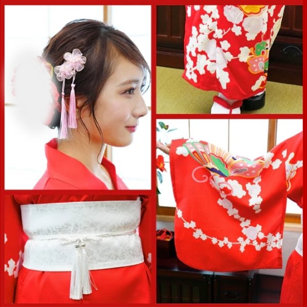 画像9: コスプレ カジュアル着物 (9)