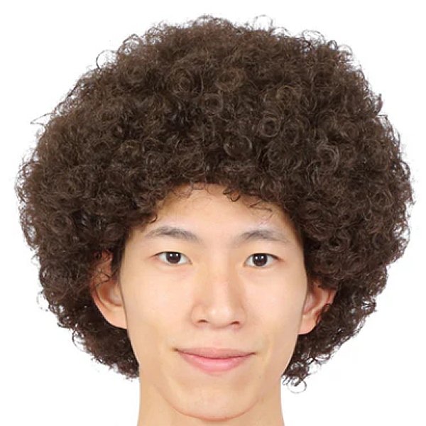 画像4: 大人用　かつら　アフロヘア (4)
