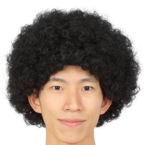 画像3: 大人用　かつら　アフロヘア (3)