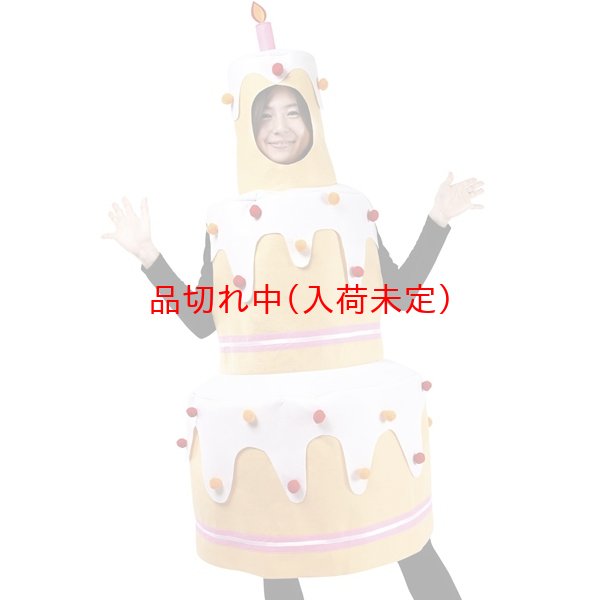 画像3: 大人用　コス着ぐるみ　ケーキ (3)