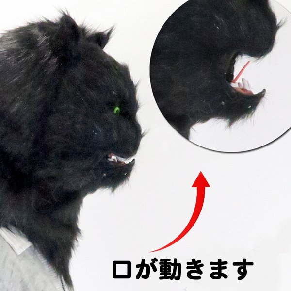画像3: 大人用　マスク　リアルキャット (3)