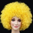 画像14: 大人用　かつら　アフロヘア (14)