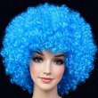 画像8: 大人用　かつら　アフロヘア (8)