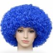 画像6: 大人用　かつら　アフロヘア (6)