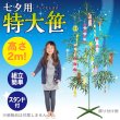 画像5: 工作キット　七夕用笹　スタンド付き　2m (5)