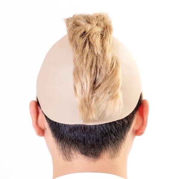 画像3: 大人用　かつら　TV有名人　やばいよ (3)