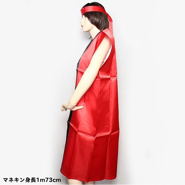 画像3: ダンス・団体演技衣装　長ハッピ　大人用 (3)