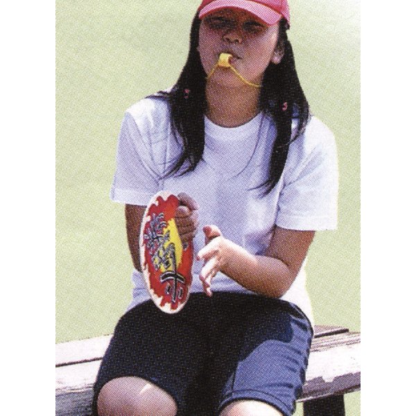 画像3: プレート太鼓 (3)