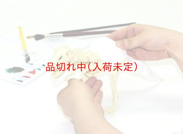 画像4: 工作キット 手作り恐竜 まとめ買い40セット (4)