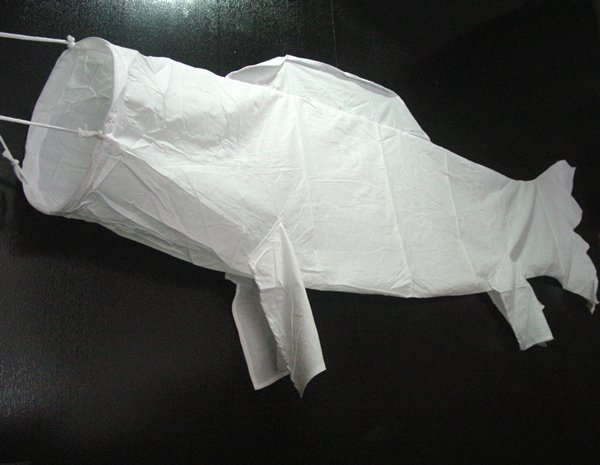 画像3: お絵描き 手作りこいのぼり まとめ買い10セット (3)