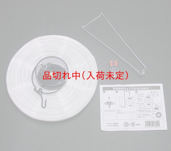 画像4: 手作りお絵描きちょうちん まとめ買い30セット (4)