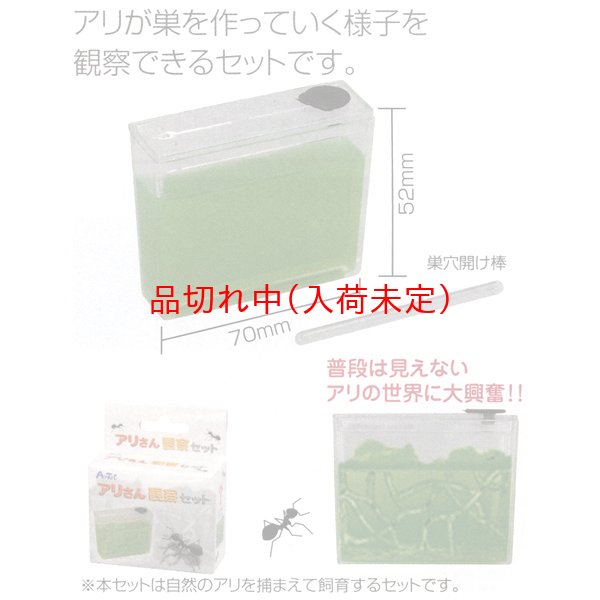 画像2: 科学&実験景品 蟻観察 まとめ買い96セット (2)