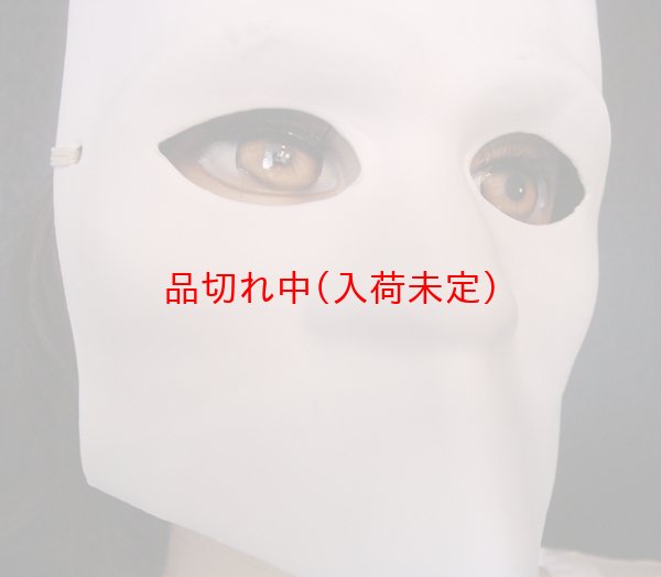 画像5: 大人用　マスク　白の仮面 (5)