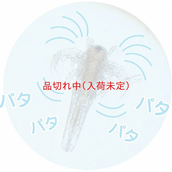 画像3: 体験 プランクトンパウダー まとめ買い40セット (3)