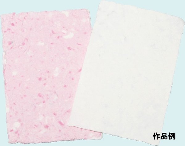 画像4: 体験　紙すきセット (4)