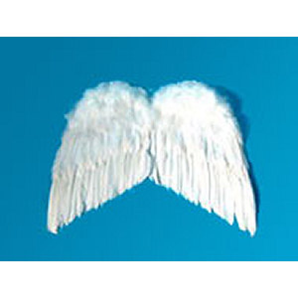 画像1: 大人用　天使の羽根・悪魔の羽根　38cm×50cm (1)