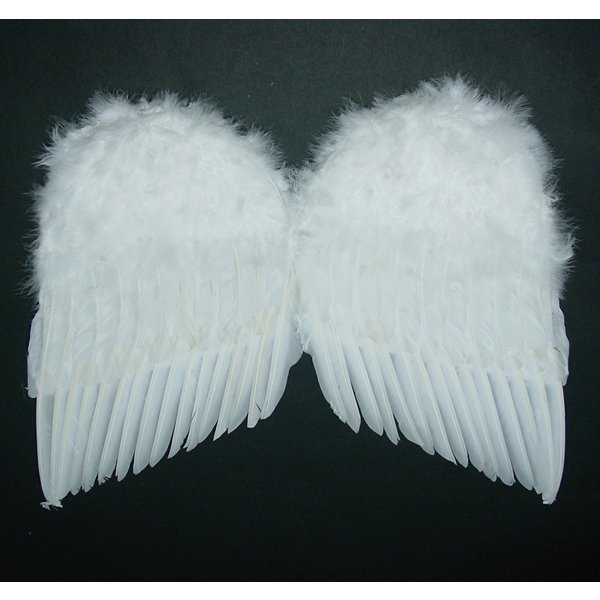 画像1: 大人用　天使の羽根・悪魔の羽根　40cm×60cm (1)